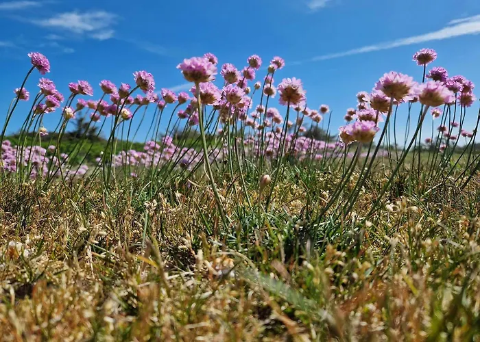 Dom wakacyjny 10 Person In Thisted-by Traum *